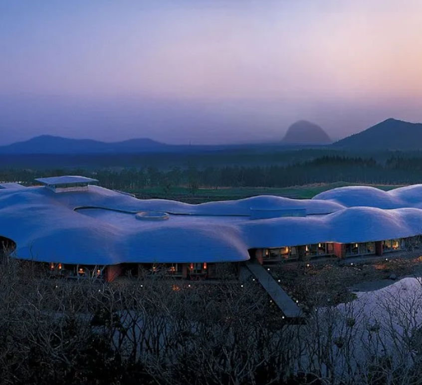 SK PINX X CROWN GOOSE Suite