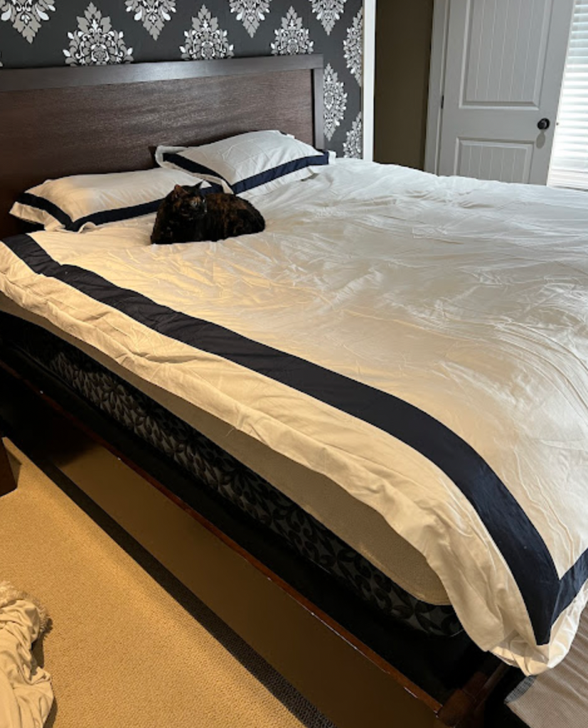 Luxurious Comfort with the Crown Goose Duvet Cover Set