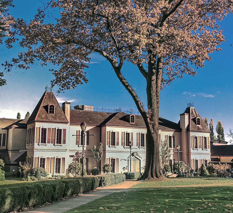 CHATEAU STE. MICHELLE WINEMAKER DINNER