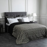 Scoop Deville Edition