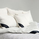 Choo Shin–Soo Edition