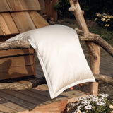 Silk Baby Blanket & Pillow