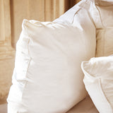 Goose Cushion