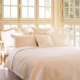 Goose Cushion