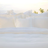 Infinite Line Special Edition