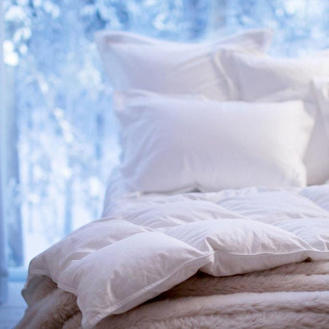 products/goose-down-duvet-twin-duvets.jpg